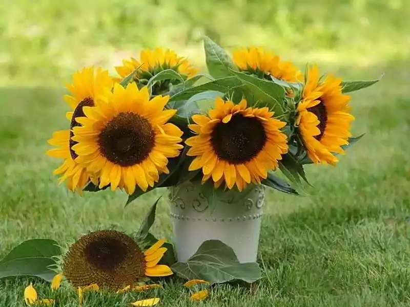 Standing Flower Ucapan Selamat
